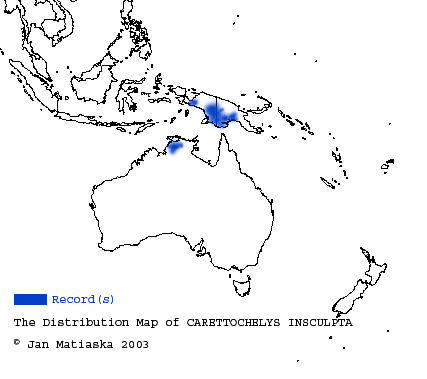 map of indonesia and papua new guinea