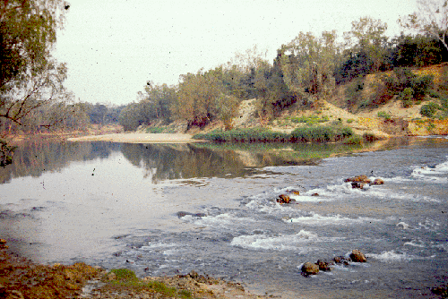 The Oolloo Crossing, the Daly River, N.T.